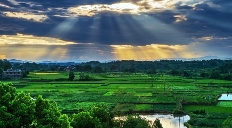 湖南祁陽加盟巨奧集成頂墻 湖南祁陽加盟巨奧集成頂墻