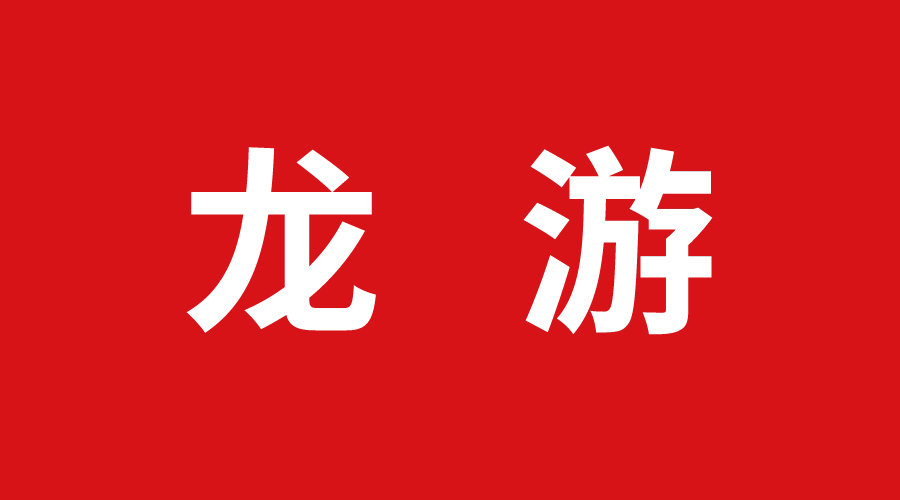 龍游 龍游